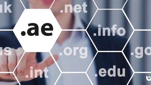 .AE Domain Hosting Dirham a day